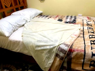 Furnished 1bdrm House in Adams Arcade, Posta, Jamhuri Estate for rent - Image 3