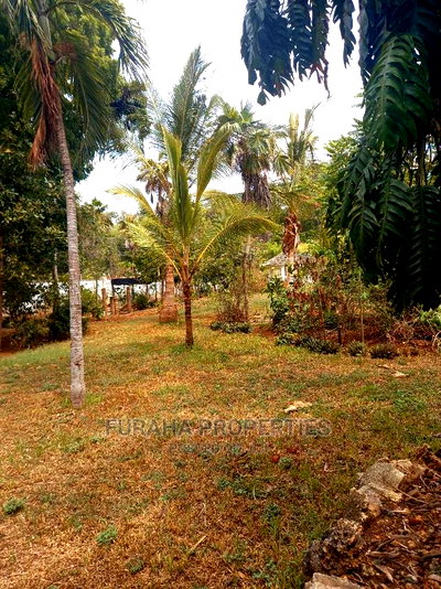 For Sale Two Acres Prime Land Old Nyali - Image 6