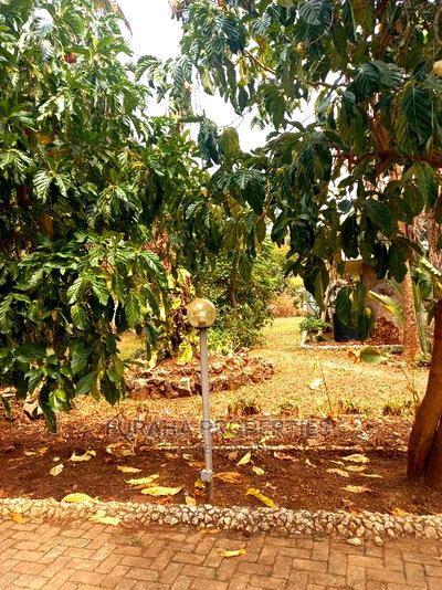 For Sale Two Acres Prime Land Old Nyali - Image 7