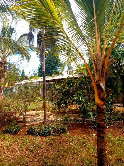 For Sale Two Acres Prime Land Old Nyali - Image 5