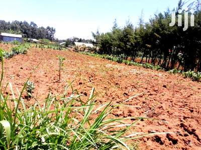100x100 Ft Plot for Sale in Kamangu Kiambu County - Image 4