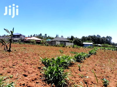 100x100 Ft Plot for Sale in Kamangu Kiambu County - Image 5
