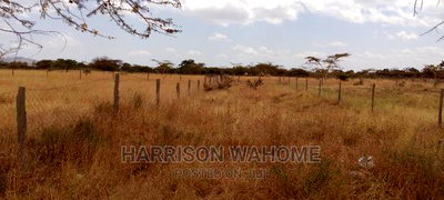 Half Acre in Kimuka, Oloshoibor, Second Row From Main Road - Image 2