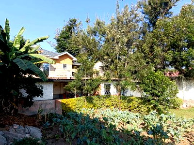 Naivasha Quick Sale - Image 2