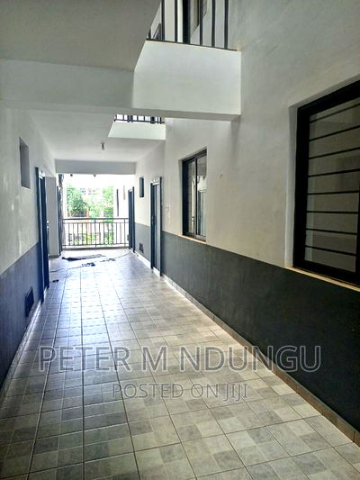 Executive 2 Bedrooms to Let, Maziwa - Image 6