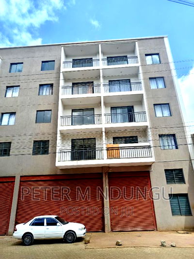 Executive 2 Bedrooms to Let, Maziwa - Image 1