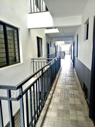 Executive 2 Bedrooms to Let, Maziwa - Image 10