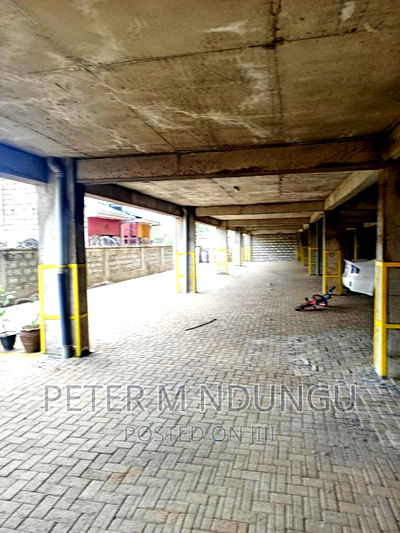 Executive 2 Bedrooms to Let, Maziwa - Image 9