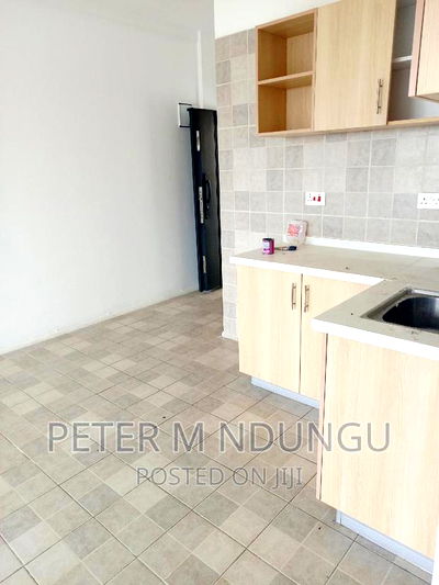 Executive 2 Bedrooms to Let, Maziwa - Image 5
