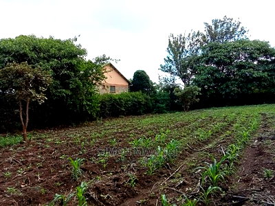 1/4 Acre Residential Plot on Sale at Ruiru Membley Estate - Image 8