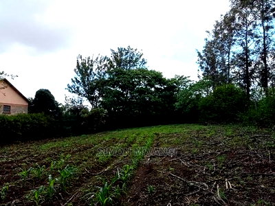 1/4 Acre Residential Plot on Sale at Ruiru Membley Estate - Image 6