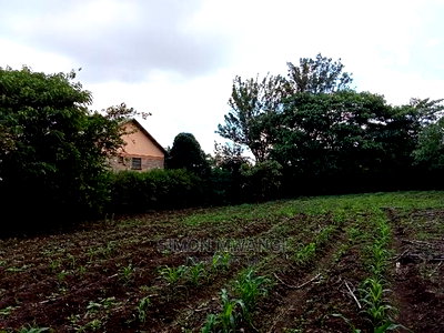 1/4 Acre Residential Plot on Sale at Ruiru Membley Estate - Image 5