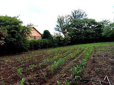 1/4 Acre Residential Plot on Sale at Ruiru Membley Estate - Image 4