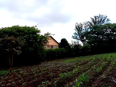 1/4 Acre Residential Plot on Sale at Ruiru Membley Estate - Image 7