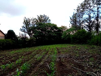 1/4 Acre Residential Plot on Sale at Ruiru Membley Estate - Image 1