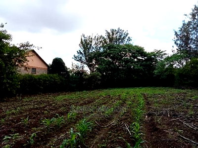 1/4 Acre Residential Plot on Sale at Ruiru Membley Estate - Image 3