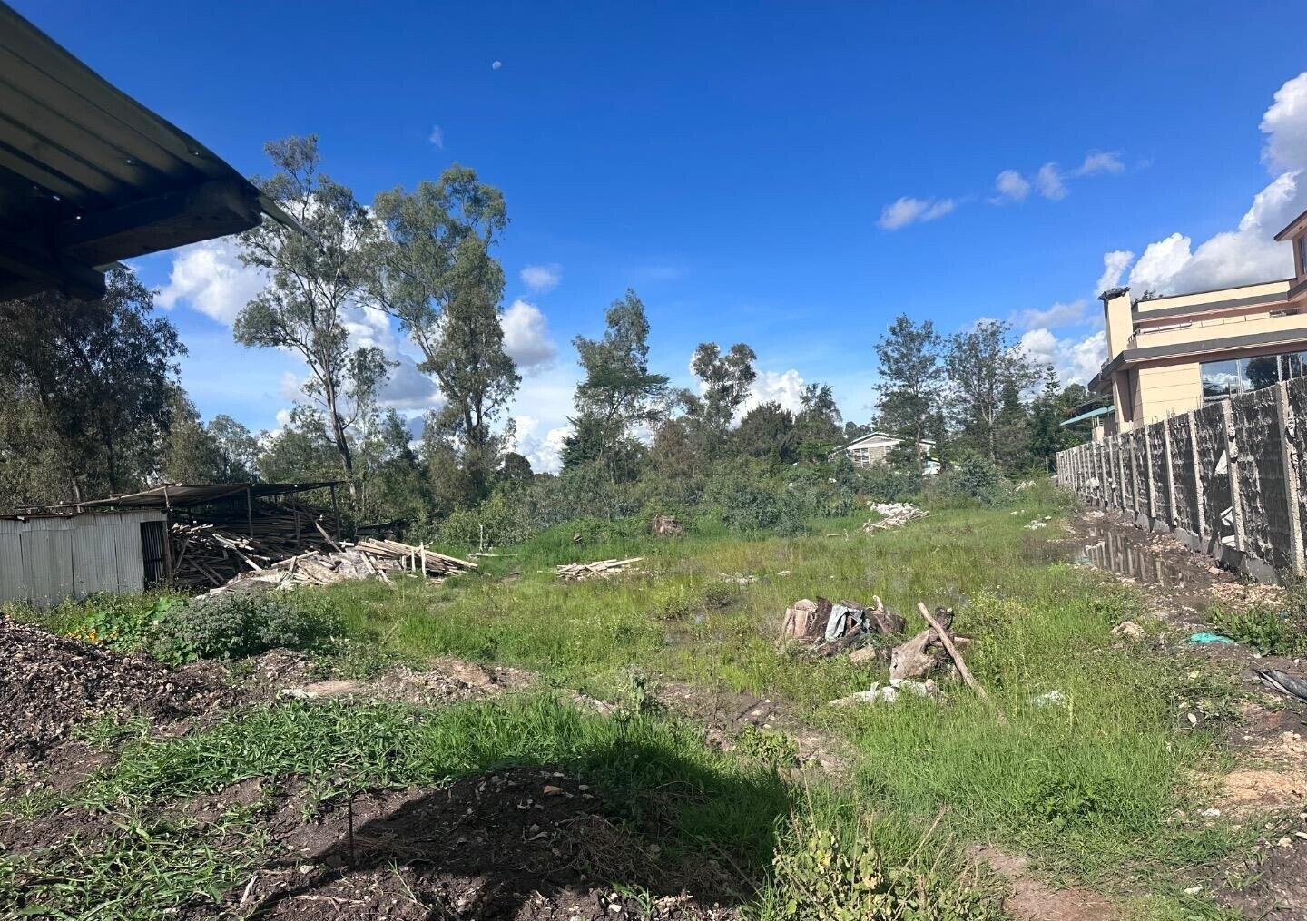 Karen's 3/4 Acre Gem with Garden