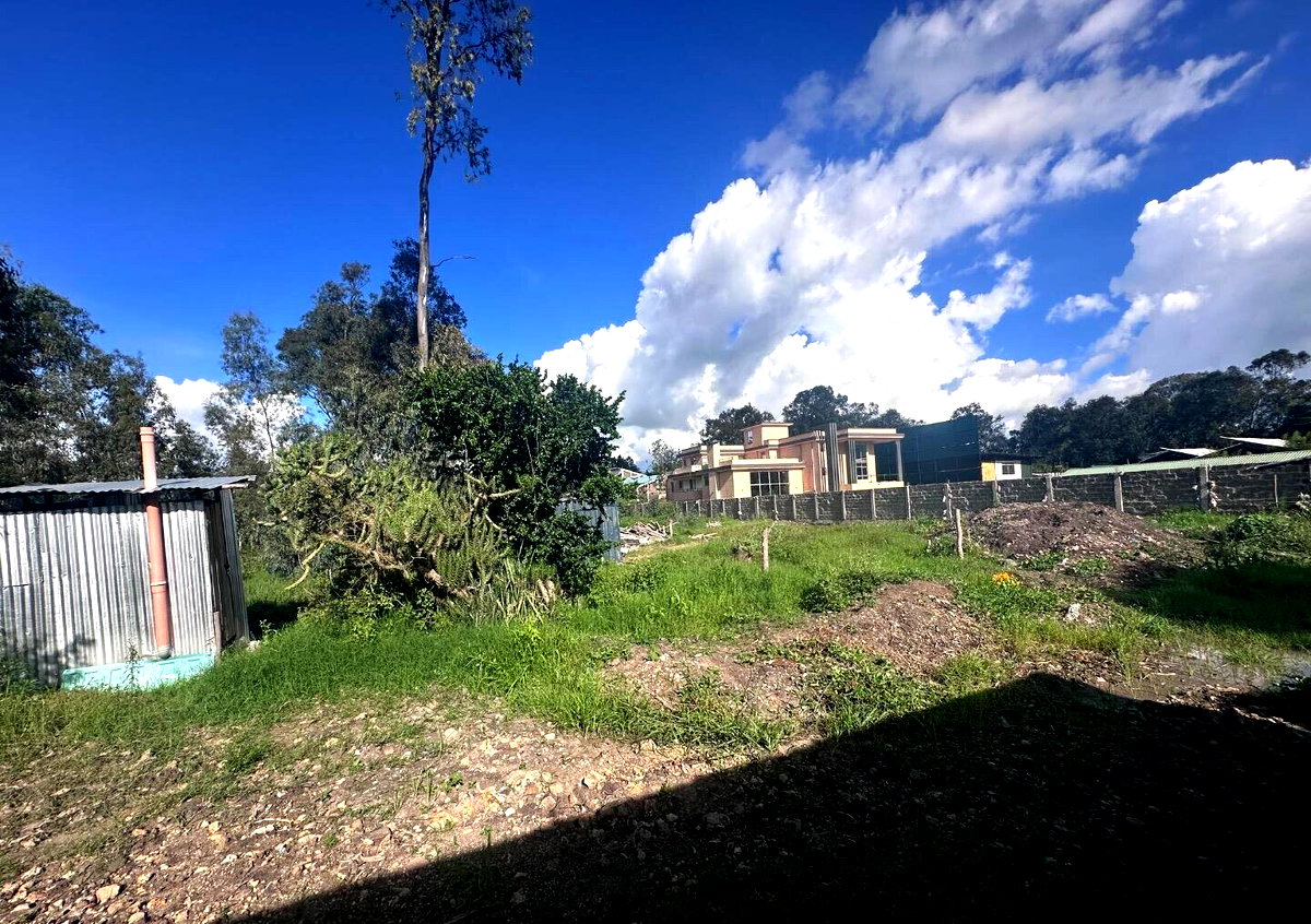 Karen's 3/4 Acre Gem with Garden