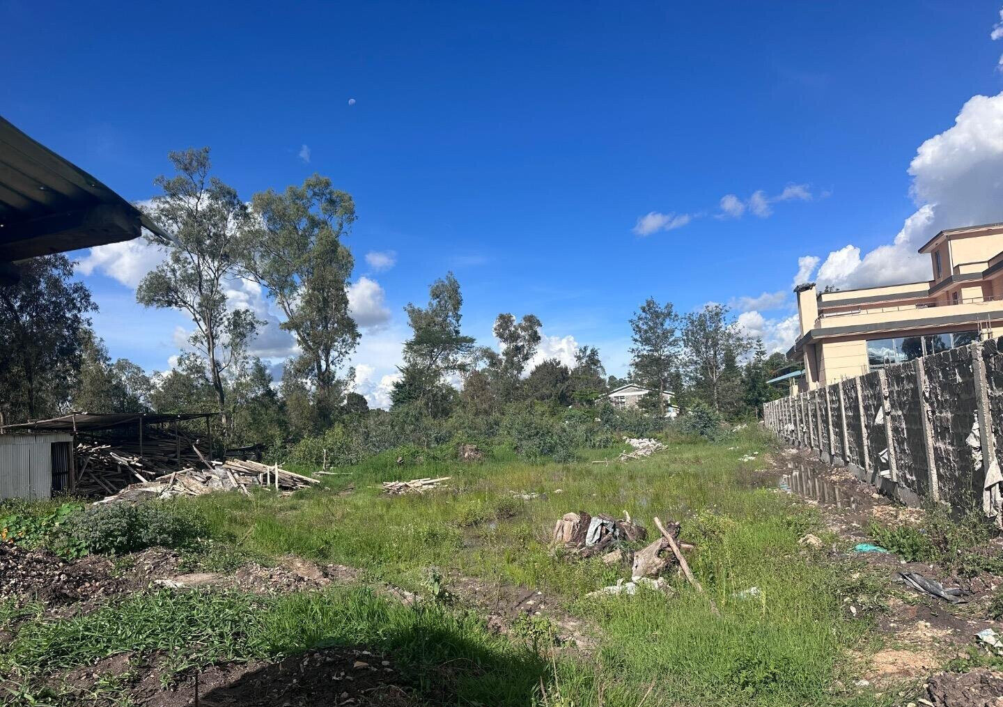 Karen's 3/4 Acre Gem with Garden