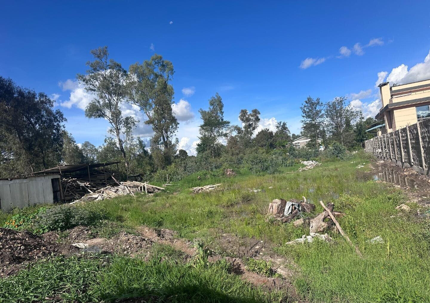 Karen's 3/4 Acre Gem with Garden