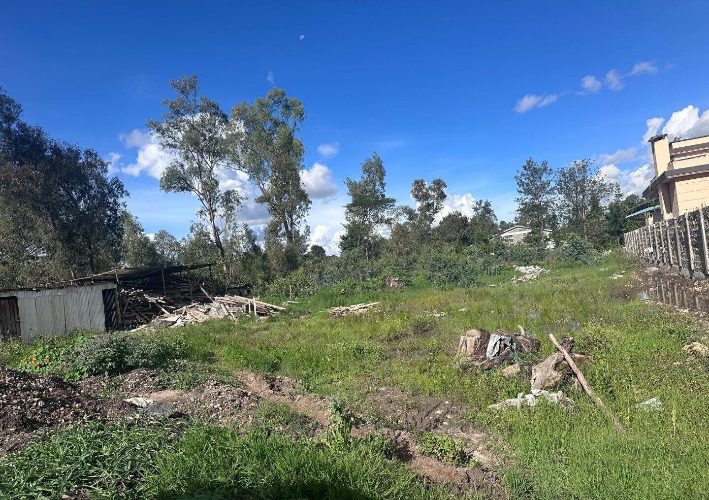 Karen's 3/4 Acre Gem with Garden