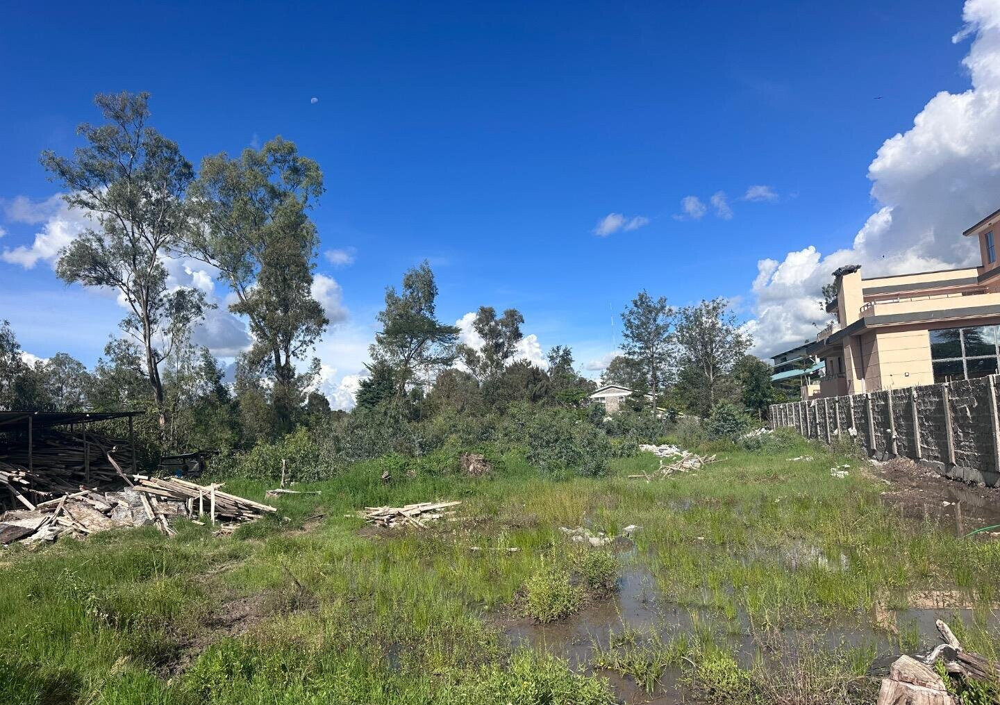 Karen's 3/4 Acre Gem with Garden
