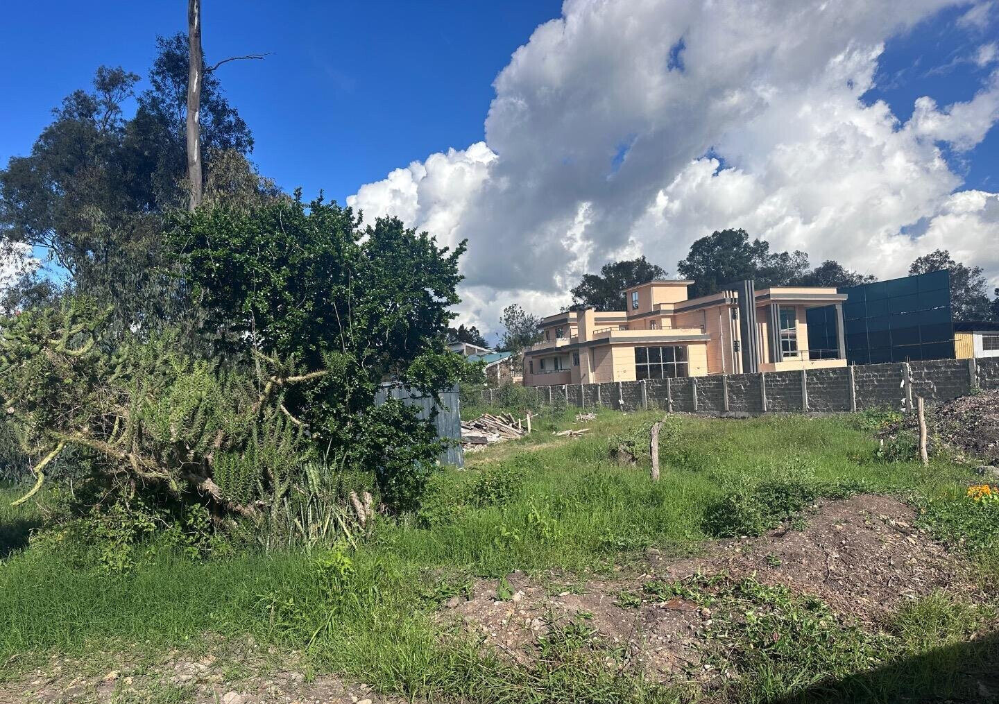 Karen's 3/4 Acre Gem with Garden