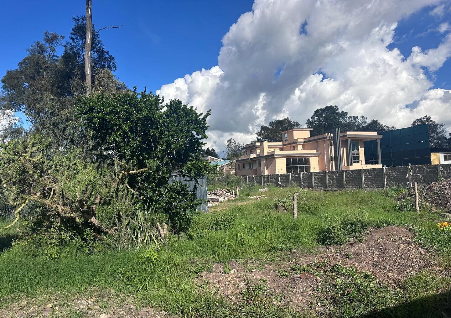 Karen's 3/4 Acre Gem with Garden