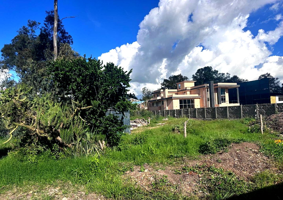 Karen's 3/4 Acre Gem with Garden
