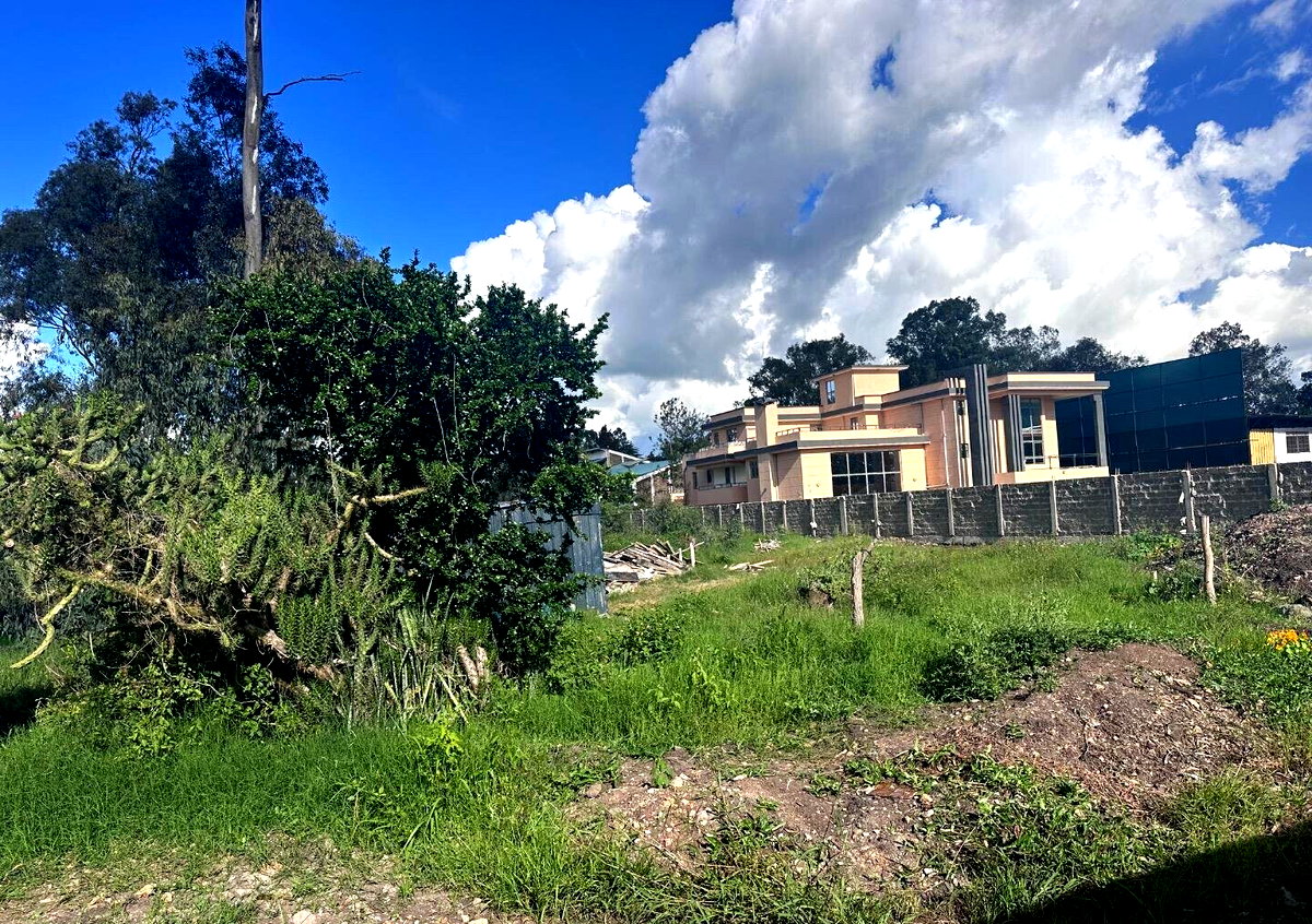 Karen's 3/4 Acre Gem with Garden