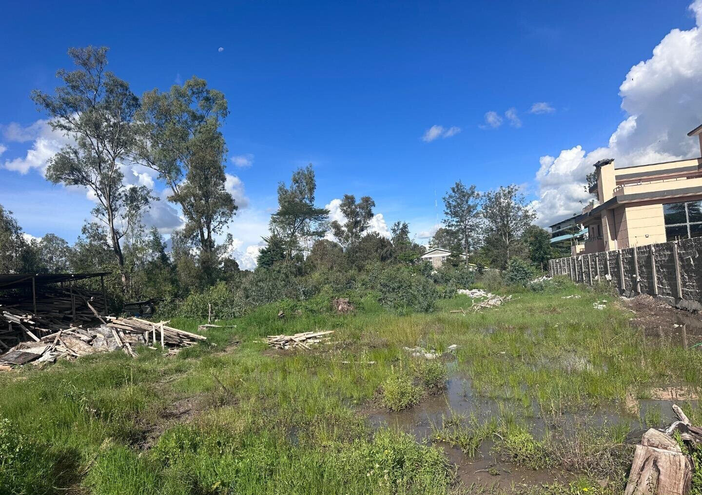 Karen's 3/4 Acre Gem with Garden
