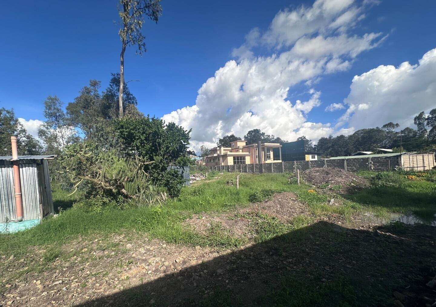 Karen's 3/4 Acre Gem with Garden