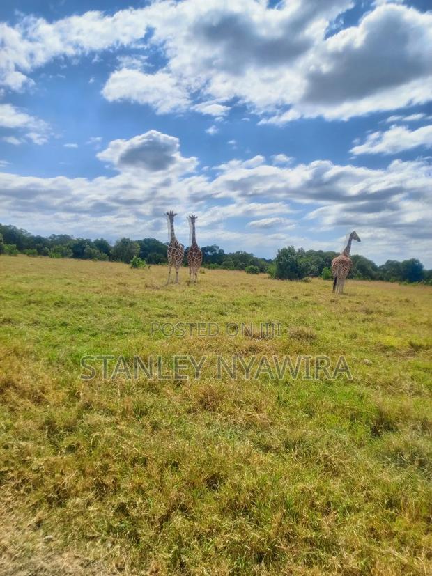 44 Acreas Nanyuki Ereri