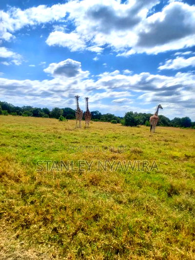 44 Acreas Nanyuki Ereri - Image 6