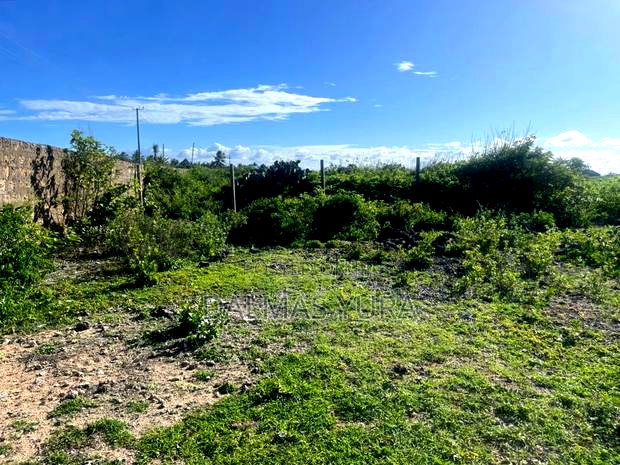 An Acre Piece of Land in Watamu