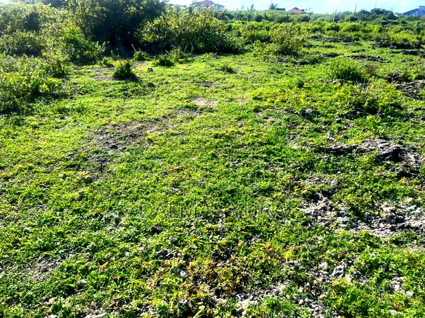 An Acre Piece of Land in Watamu