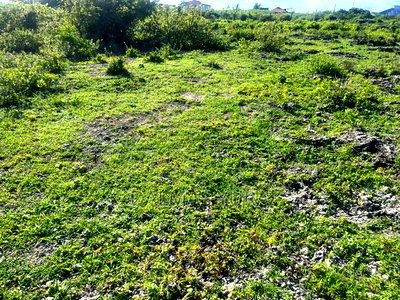 An Acre Piece of Land in Watamu - Image 5