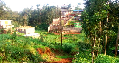 1/8 Acre Garden Plot at KSh 1.6M