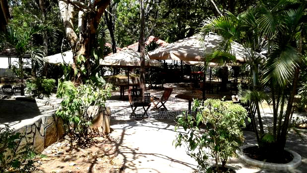 Restaurant Bar Space For Rent On 1acre Plot In Koroga Nyali