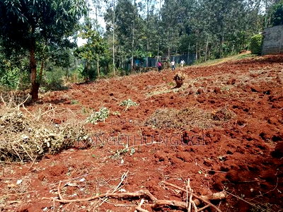 50 X 100 Commercial Plot Kirigiti Kiambu - Image 3