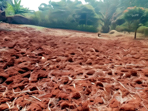 50 X 100 Commercial Plot Kirigiti Kiambu