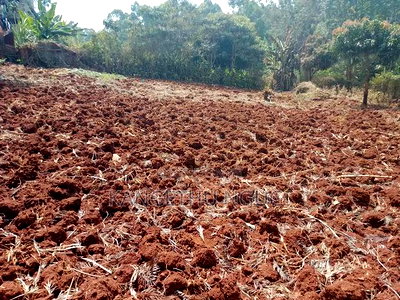 50 X 100 Commercial Plot Kirigiti Kiambu - Image 4