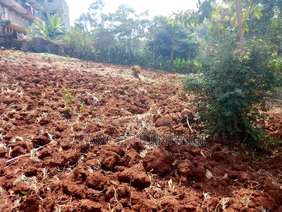 50 X 100 Commercial Plot Kirigiti Kiambu - Image 5