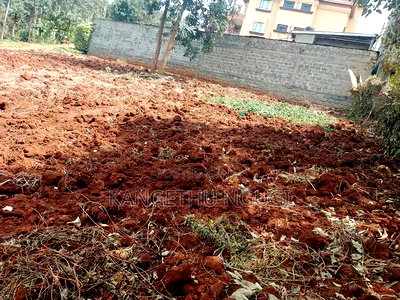 50 X 100 Commercial Plot Kirigiti Kiambu - Image 2