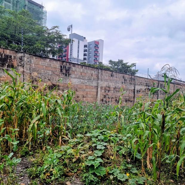 Prime Commercial Plot Dagoretti