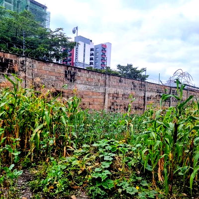 Prime Commercial Plot Dagoretti - Image 6