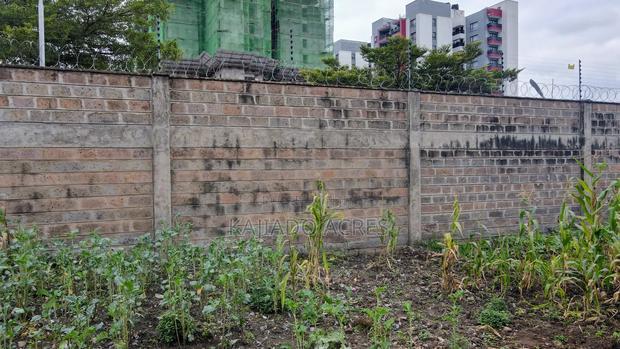 Prime Commercial Plot Dagoretti