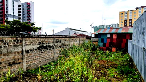 Prime Commercial Plot Dagoretti