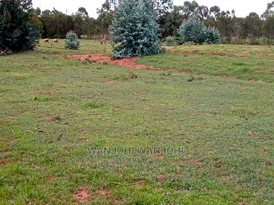 Serene 50x100 Plots - Image 5
