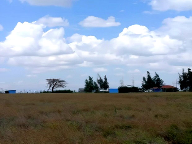 Prime Plots for Sale in Kitengela Near Kca University